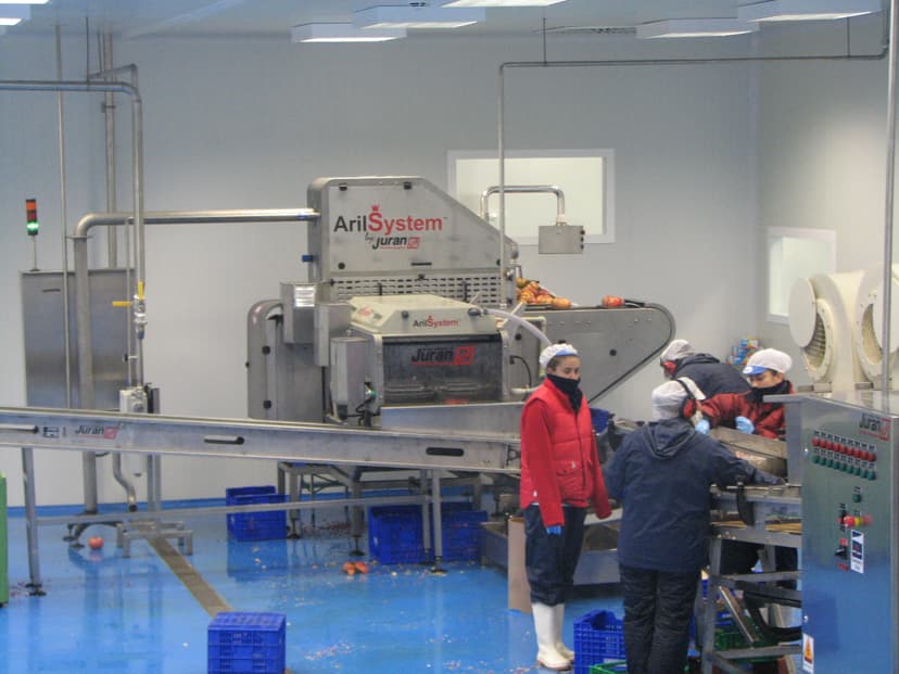 Product image of ArilSystem JU-28 (28 fruits per minute)